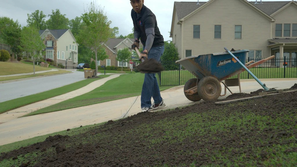 Dethatching
