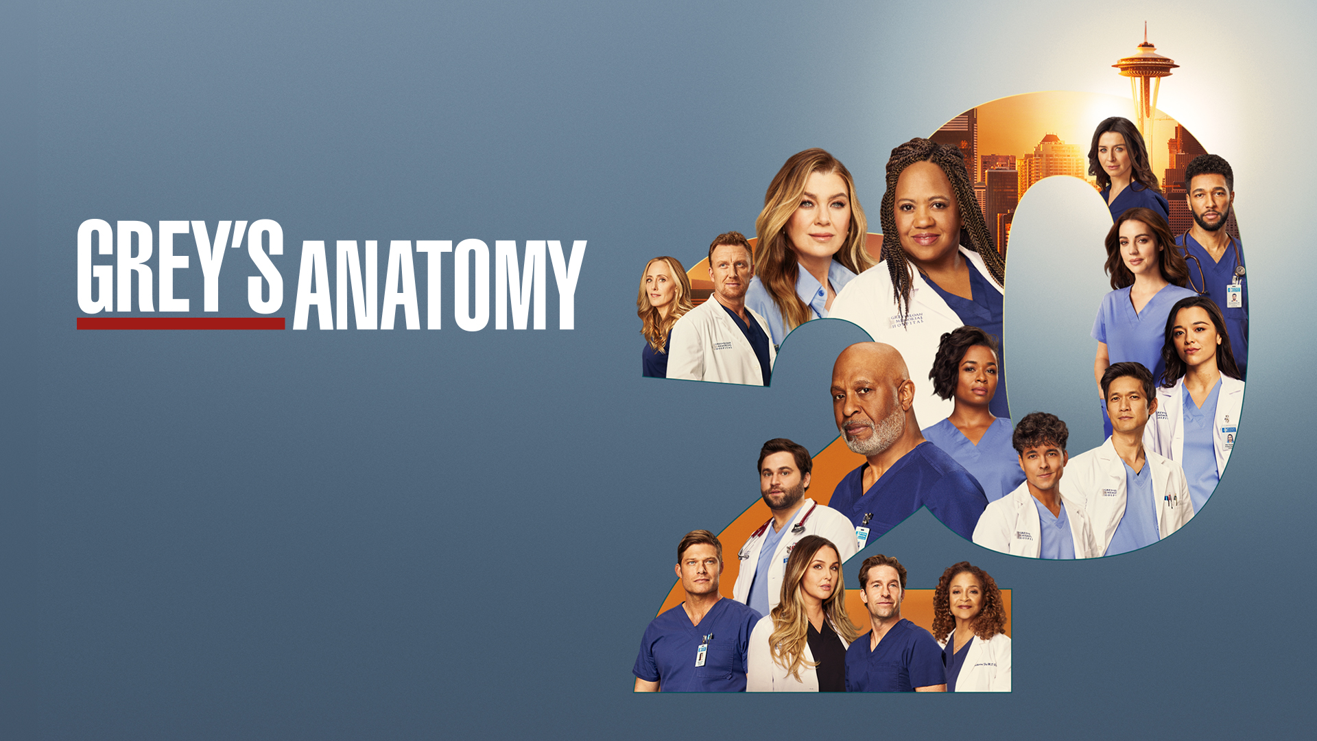 Grey's Anatomy Season 20