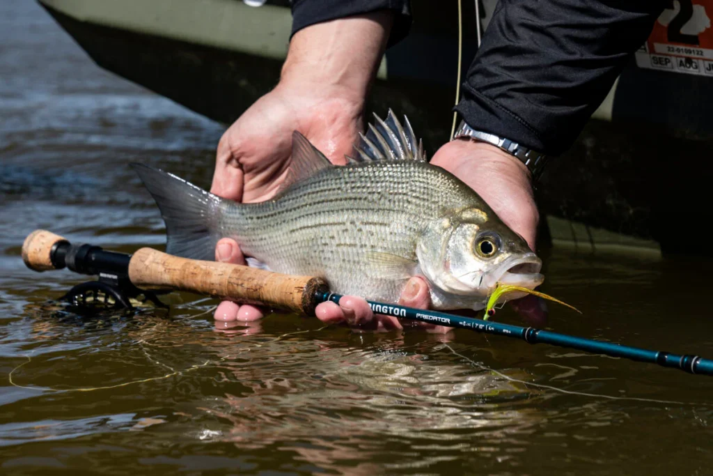fly fishing bag