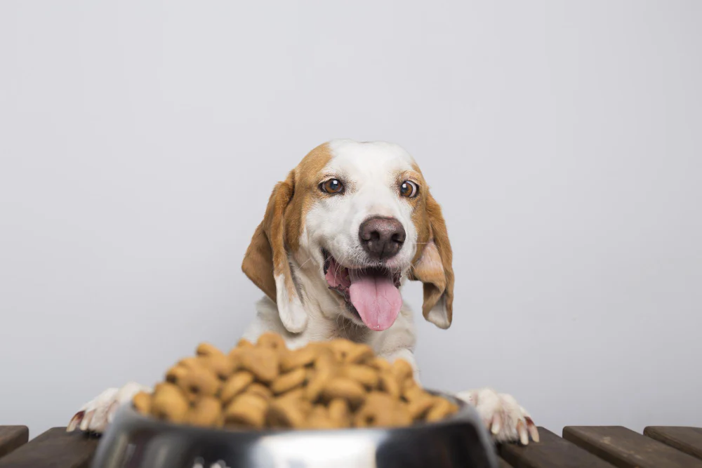nature's blend dog food canada